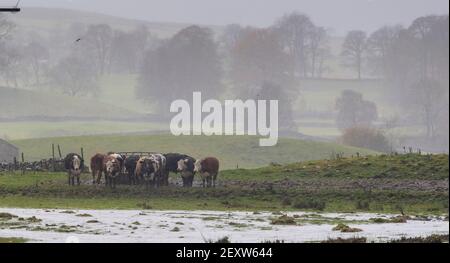 Dégâts causés par la tempête autour de la ville de Wensleydale de Hawes dans le North Yorkshire après Storm Aiden. Banque D'Images