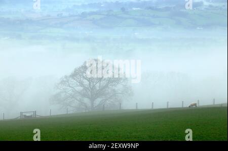 Brume dans la vallée de l'axe, East Devon AONB Banque D'Images