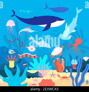 Sous l'eau. Animaux sous-marins mignons, faune de la mer de dessins animés. Habitat d'aquarium heureux, poissons océaniques et mammifères. Arrière-plan du vecteur de vie marine. Mer et corail exotique, faune et flore naturelle de l'océan illustration Illustration de Vecteur