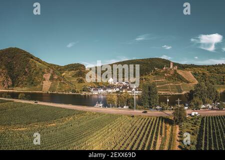 Vue panoramique sur les vignobles de la Moselle près de Beilstein, Allemagne. Château de Metternich au-dessus de la Moselle. Photographie de drone. Banque D'Images