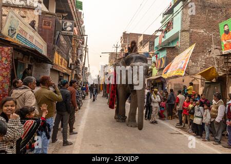 le prêtre indien s'assoit sur l'éléphant et se balade pendant la mela kumbh dans hidawar.kumbh est la plus grande congrégation sur la terre. Banque D'Images