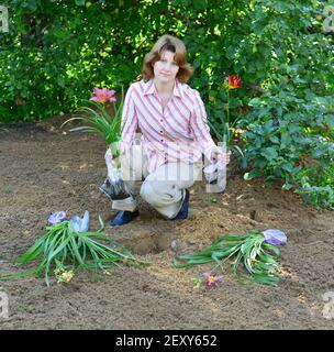 Femme plantant des fleurs dans le jardin Banque D'Images