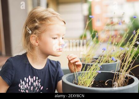 Portrait de mignonne cheveux blond petite fille sniffs fleurs de printemps sur le balcon de l'appartement, gros plan avec un arrière-plan flou Banque D'Images