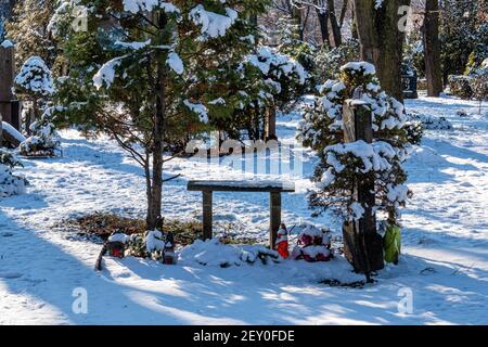 Cimetière de la paroisse de Sophien - tombes et arbres couverts de neige en hiver, Friedhof der Sophien Gemeinde, Mitte,Berlin,Allemagne Banque D'Images