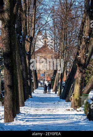 Cimetière de la paroisse de Sophien - couple marchant et couvert de neige arbres en hiver, Friedhof der Sophien Gemeinde, Mitte,Berlin,Allemagne Banque D'Images