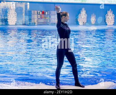 Russie, Vladivostok, 01/04/2021. Représentation du béluga et de la jolie femme dans le parc des mammifères marins de l'aquarium Primorsky. Spectacle avec mari Banque D'Images