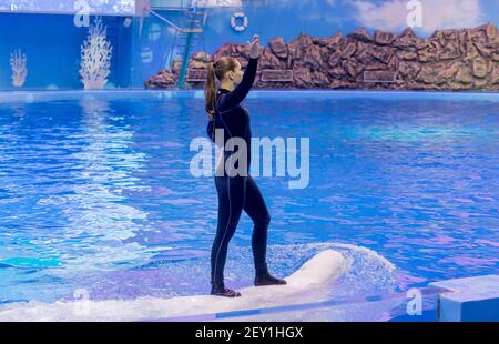 Russie, Vladivostok, 01/04/2021. Représentation du béluga et de la jolie femme dans le parc des mammifères marins de l'aquarium Primorsky. Spectacle avec mari Banque D'Images