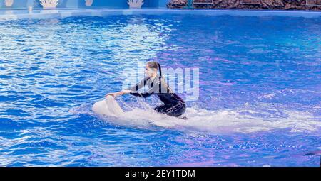 Russie, Vladivostok, 01/04/2021. Représentation du béluga et de la jolie femme dans le parc des mammifères marins de l'aquarium Primorsky. Spectacle avec mari Banque D'Images