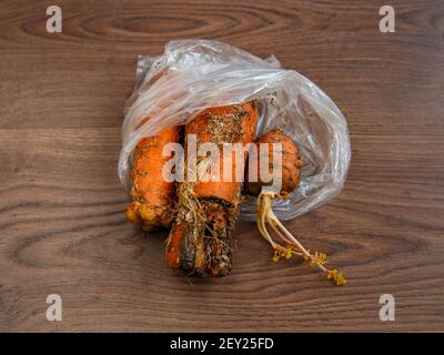 Faire pourrir les carottes dans un sac sur une surface brune. Banque D'Images