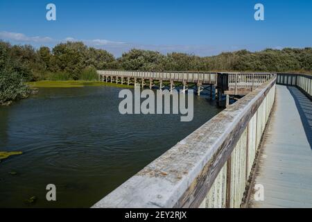 Pont en bois traversant le lac Oso Flaco, Californie Banque D'Images