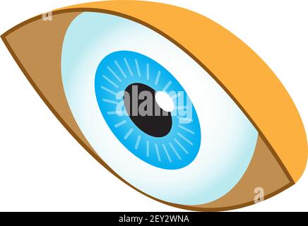 Vecteur d'icône isométrique de l'œil humain. Ophtalmologiste médical isométrique signe de la vue. symbole d'organe humain 3d. Œil optique. Illustration de Vecteur