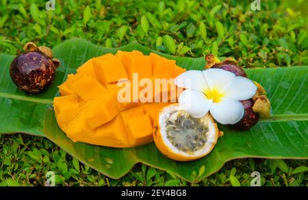 Fruits de mangue exotiques et autres. Mise au point sélective. Nourriture. Banque D'Images