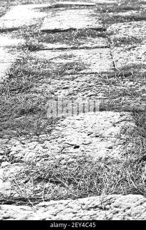 Les aiguilles de pin ruines de pierre et de théâtre à antalya arykanda turquie asie Banque D'Images