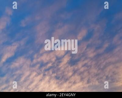 Nuages blancs et roses sur le ciel bleu. Le soleil illumine les nuages de lumière rose. Magnifique ciel naturel. Banque D'Images