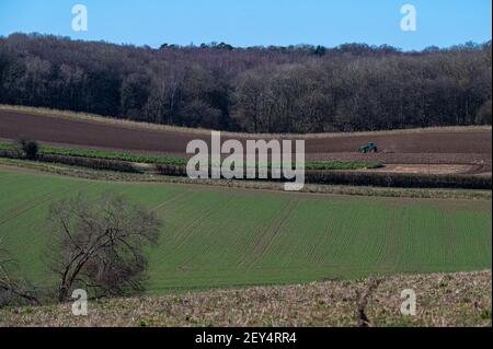 Les mouettes s'ensuivent lorsqu'un tracteur pline le champ, ce qui prépare le sol pour les semis de printemps Banque D'Images