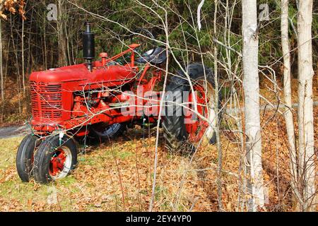 Un petit tracteur de ferme rouge à l'ancienne, stationné le long d'une route de campagne, parmi les arbres, en automne. Le tracteur est équipé de feux de Noël. Banque D'Images
