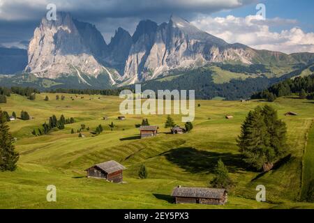 Seiser Alm, paysage de l'Alpe di Siusi, Alpes Dolomites, Italie Banque D'Images