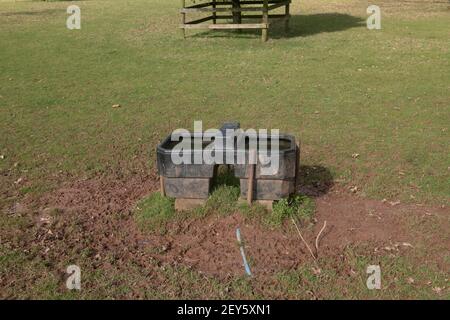 Ancienne cuvette en plastique noir avec eau potable fraîche pour le bétail dans un champ sur une ferme dans le Devon rural, Angleterre, Royaume-Uni Banque D'Images