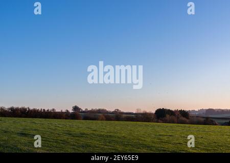 Lumière chaude du matin sur les champs ruraux du Hampshire, en Angleterre Banque D'Images