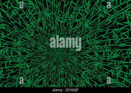 Fond d'écran de la forêt de bambou, illustration vectorielle Illustration de Vecteur