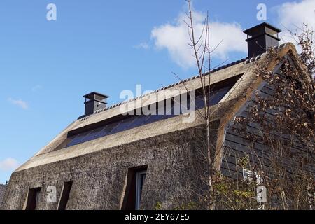 Maison hollandaise avec toit de chaume contenant des panneaux solaires. Fin de l'hiver, mars, pays-Bas. Banque D'Images