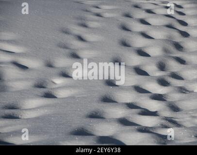pas dans les trous de chemin de neige dans la neige de quelqu'un marchant à pied dans la neige profonde en plein air dans la neige sur les ombres ensoleillées de jour froid jeté dans le trou de marche Banque D'Images