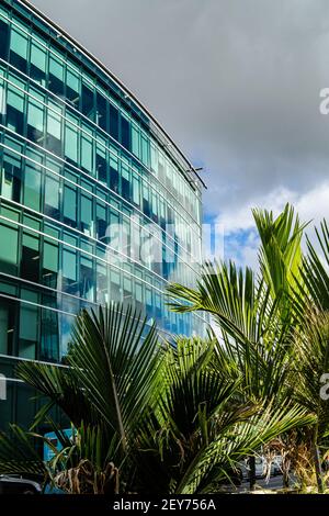 AUCKLAND, NOUVELLE-ZÉLANDE - 07 mars 2018 : photos de la ville d'Auckland en Nouvelle-Zélande pendant une journée ensoleillée d'été Banque D'Images