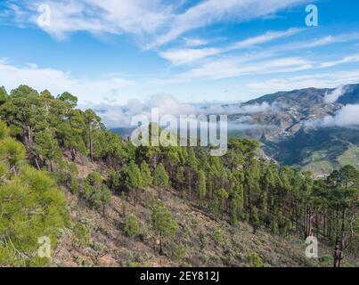 Vue panoramique depuis le sommet du parc naturel de Tamadaba avec des collines verdoyantes, des montagnes forestières et un lac de barrage. Gran Canaria, Îles Canaries, Espagne Banque D'Images