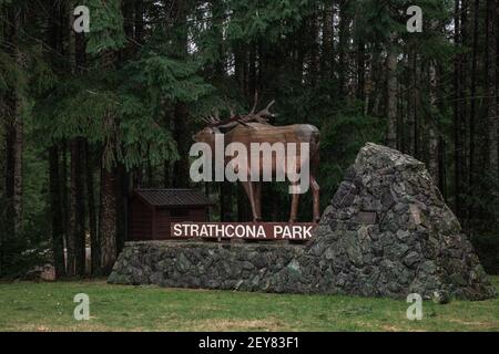 Île de Vancouver, Canada - novembre 17,2020 : vue du panneau de bienvenue Strathcona Park avec forêt en arrière-plan Banque D'Images