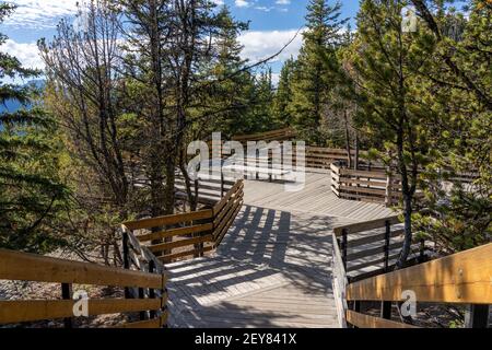 Sentier de la montagne de soufre en été, escaliers en bois et promenades le long du sommet. Parc national Banff, Rocheuses canadiennes, Alberta, Canada. Banque D'Images