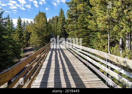 Sentier de la montagne de soufre en été, escaliers en bois et promenades le long du sommet. Parc national Banff, Rocheuses canadiennes, Alberta, Canada. Banque D'Images