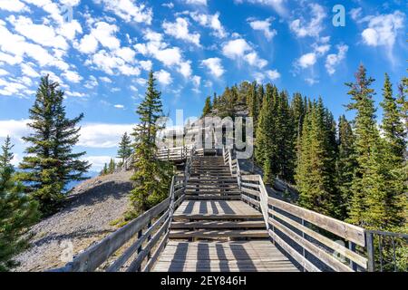 Sentier de la montagne de soufre en été, escaliers en bois et promenades le long du sommet. Parc national Banff, Rocheuses canadiennes, Alberta, Canada. Banque D'Images