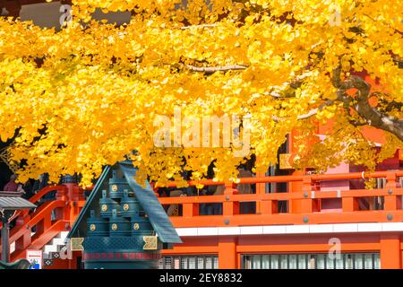 Des arbres d'automne se dresse à côté de Gokuden au temple Sensoji Asakusa Tokyo. Banque D'Images