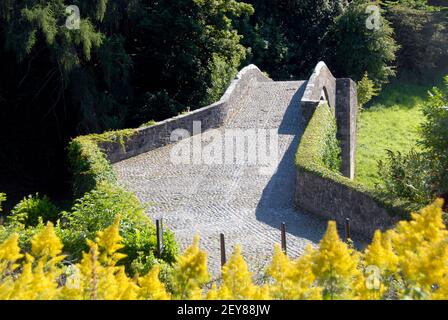 Vue sud-ouest sur le Brig o' Doon, Ayrshire, Écosse Banque D'Images