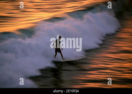 Surfeur sur la vague au coucher du soleil sur la plage de Californie Banque D'Images