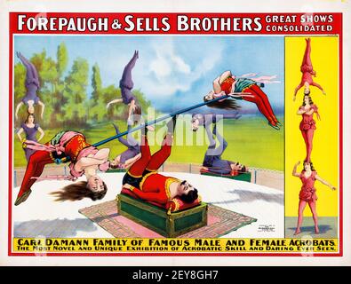 Forepaugh & vend Brothers. Grands spectacles consolidés. Poster Classic Circus, style ancien et vintage. FEAT Carl Damann famille. (acrobates). 1899. Banque D'Images