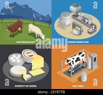 Production de fromage 2x2 concept ensemble de rendement de lait de pâturage fabrication diversité des icônes carrées de fromage illustration vectorielle isométrique Illustration de Vecteur