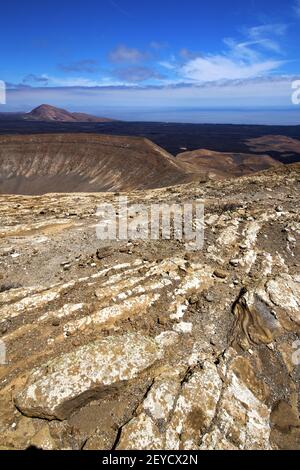 Timanfaya à los espagne plante buisson de fleur Banque D'Images