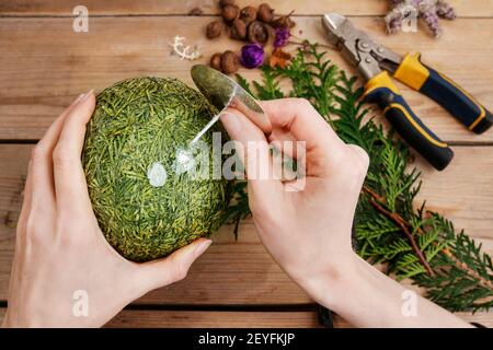 Fleuriste au travail: Femme montre comment faire boule de Noël avec sphère de styromousse et brindilles de thuja. Étape par étape, tutoriel. Banque D'Images