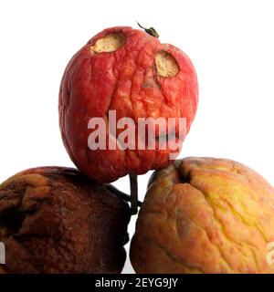 Trois pommes pourries fruit isolé sur fond blanc Banque D'Images