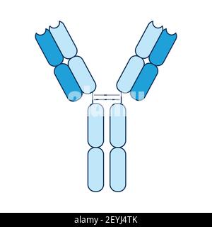 Anticorps système immunitaire virus de la grippe, bactéries, coronavirus, COVID-19 et substances étrangères dans le sang. Illustration vectorielle dans le style d'un f Illustration de Vecteur