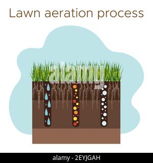 Entretien des pelouses - aération et scarification. Étiquettes par étape-pendant. Consommation de substances - eau, oxygène et nutriments pour nourrir l'herbe et le sol. Vecteur f Illustration de Vecteur