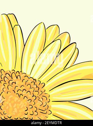 Grand gerbera lumineux. Partie d'une fleur de jardin.Vector. Fleur jaune vif. Illustration de Vecteur