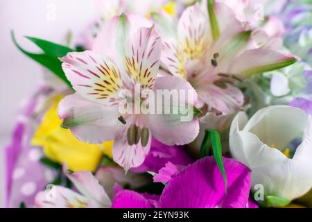 Vue rapprochée d'un bouquet vibrant de fleurs mixtes Banque D'Images