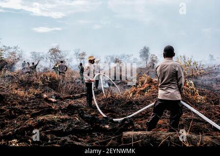 Meulaboh, Aceh, Indonésie. 1er mars 2021. Peran Badan Penanggulangan Bencana Daerah (BPBD), Tentara Nasional Indonesia (TNI) et la police nationale d'Indonésie (POLRI) volontaires pour aider à éteindre les feux de forêt. Environ 5.5 hectares de terres forestières et tourbières à Gampong, Peunaga Cut Ujong, a pris feu en raison de temps chaud et de courant prolongé qui a commencé le 27 février, 2021 qui a continué à se répandre en raison des vents forts et des conditions atmosphériques chaudes. Crédit : Nurul Fahmi/SOPA Images/ZUMA Wire/Alamy Live News Banque D'Images