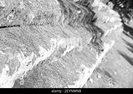 Les aiguilles de pin ruines de pierre et de théâtre à antalya arykanda turquie asie Banque D'Images