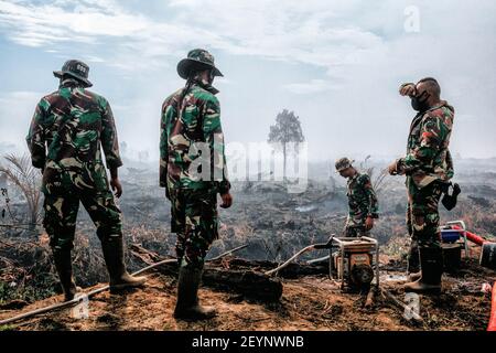 Meulaboh, Aceh, Indonésie. 1er mars 2021. L'effort d'extincteur d'incendie a impliqué le personnel de BPBD Aceh Barat, TNI, POLRI, des volontaires et le soutien des citoyens locaux.cinq hectares de tourbières à Gampong Peunaga Cut Ujong, Meuroubo, West Aceh a été en feu qui a commencé depuis le samedi 27 février 2021, sa propagation en raison des forts vents chauds atmosphériques. À côté des tourbières, les incendies ont également ravagé certaines plantations de palmier à huile. L'effet de brouillard a commencé à couvrir la zone de la ville de Meulaboh et autour. Le Coordonnateur du Centre de contrôle des opérations (PUSDALOPS) du West Aceh Distric Banque D'Images