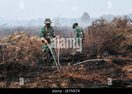 Meulaboh, Aceh, Indonésie. 1er mars 2021. L'effort d'extincteur d'incendie a impliqué le personnel de BPBD Aceh Barat, TNI, POLRI, des volontaires et le soutien des citoyens locaux.cinq hectares de tourbières à Gampong Peunaga Cut Ujong, Meuroubo, West Aceh a été en feu qui a commencé depuis le samedi 27 février 2021, sa propagation en raison des forts vents chauds atmosphériques. À côté des tourbières, les incendies ont également ravagé certaines plantations de palmier à huile. L'effet de brouillard a commencé à couvrir la zone de la ville de Meulaboh et autour. Le Coordonnateur du Centre de contrôle des opérations (PUSDALOPS) du West Aceh Distric Banque D'Images