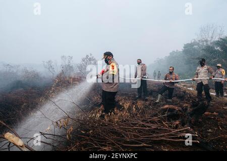 Meulaboh, Aceh, Indonésie. 1er mars 2021. L'effort d'extincteur d'incendie a impliqué le personnel de BPBD Aceh Barat, TNI, POLRI, des volontaires et le soutien des citoyens locaux.cinq hectares de tourbières à Gampong Peunaga Cut Ujong, Meuroubo, West Aceh a été en feu qui a commencé depuis le samedi 27 février 2021, sa propagation en raison des forts vents chauds atmosphériques. À côté des tourbières, les incendies ont également ravagé certaines plantations de palmier à huile. L'effet de brouillard a commencé à couvrir la zone de la ville de Meulaboh et autour. Le Coordonnateur du Centre de contrôle des opérations (PUSDALOPS) du West Aceh Distric Banque D'Images