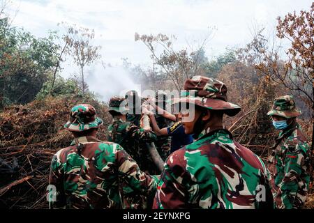 Meulaboh, Aceh, Indonésie. 1er mars 2021. L'effort d'extincteur d'incendie a impliqué le personnel de BPBD Aceh Barat, TNI, POLRI, des volontaires et le soutien des citoyens locaux.cinq hectares de tourbières à Gampong Peunaga Cut Ujong, Meuroubo, West Aceh a été en feu qui a commencé depuis le samedi 27 février 2021, sa propagation en raison des forts vents chauds atmosphériques. À côté des tourbières, les incendies ont également ravagé certaines plantations de palmier à huile. L'effet de brouillard a commencé à couvrir la zone de la ville de Meulaboh et autour. Le Coordonnateur du Centre de contrôle des opérations (PUSDALOPS) du West Aceh Distric Banque D'Images